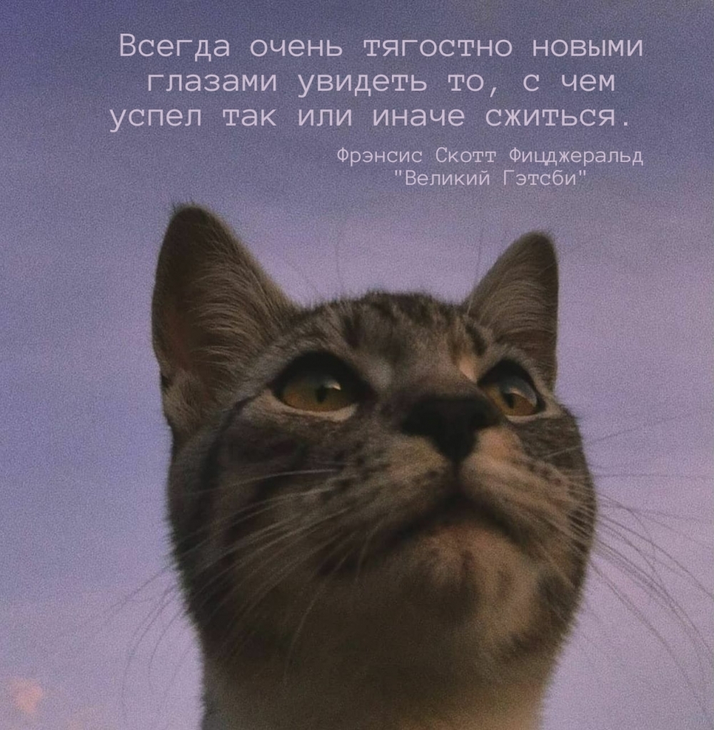 Тягостно новыми глазами увидеть то, с чем успел сжиться.