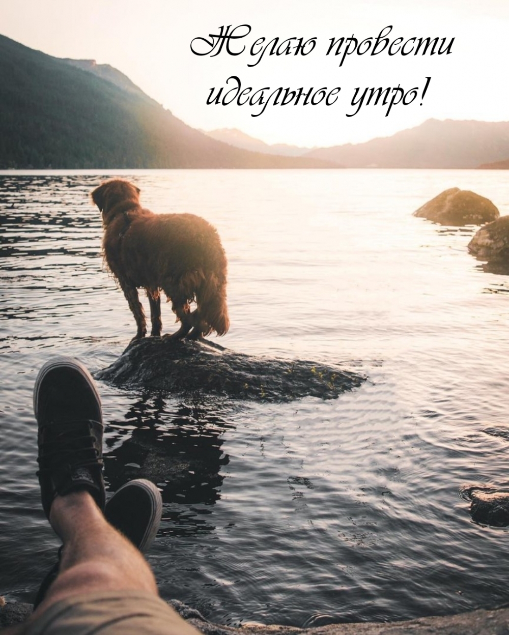 Желаю провести идеальное утро!