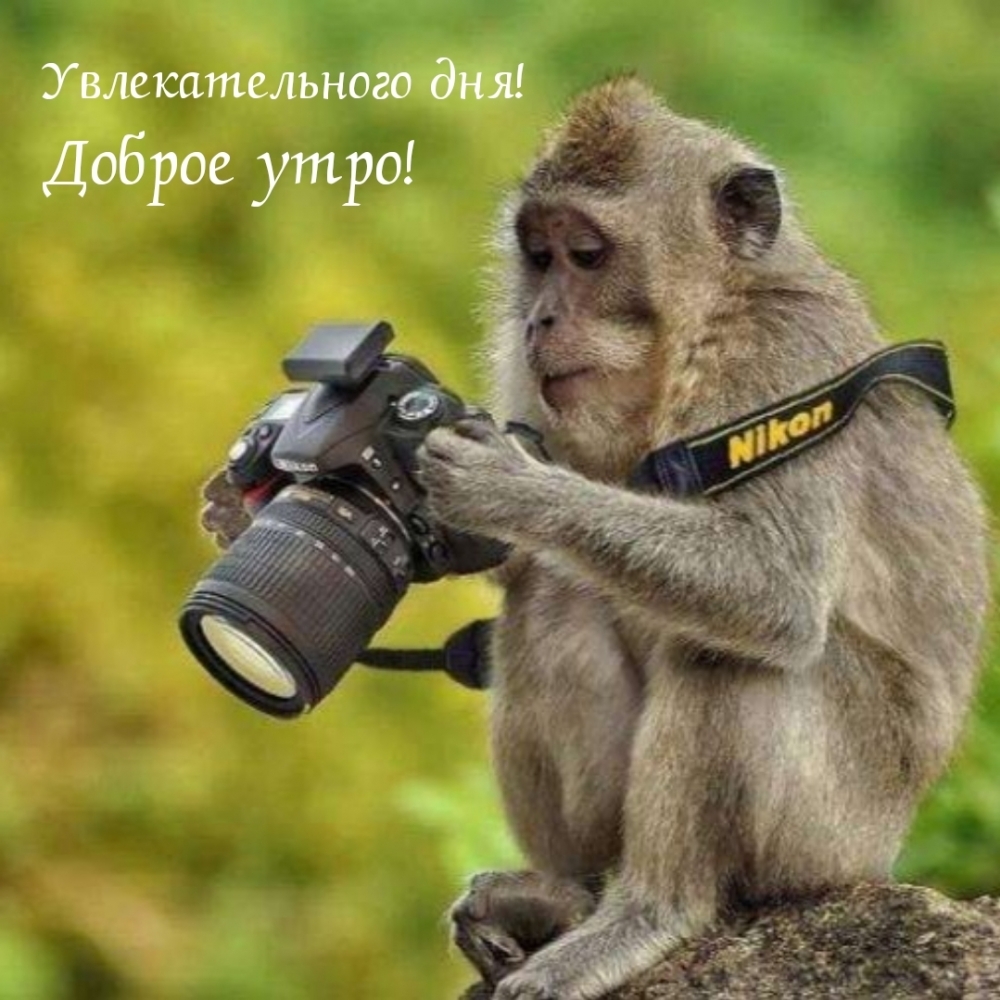 Доброе утро! Увлекательного дня!