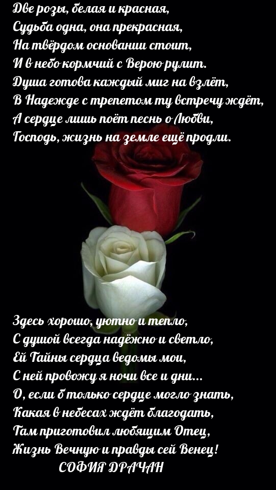 Две розы, белая и красная