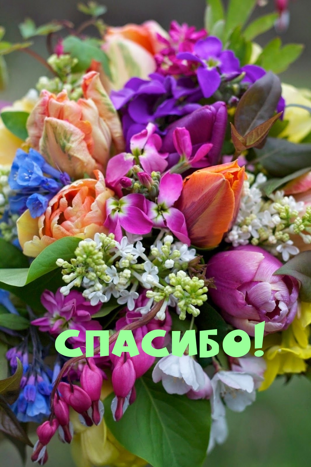 Спасибо!