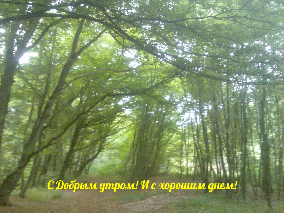 С Добрым утром! И с хорошим днем!