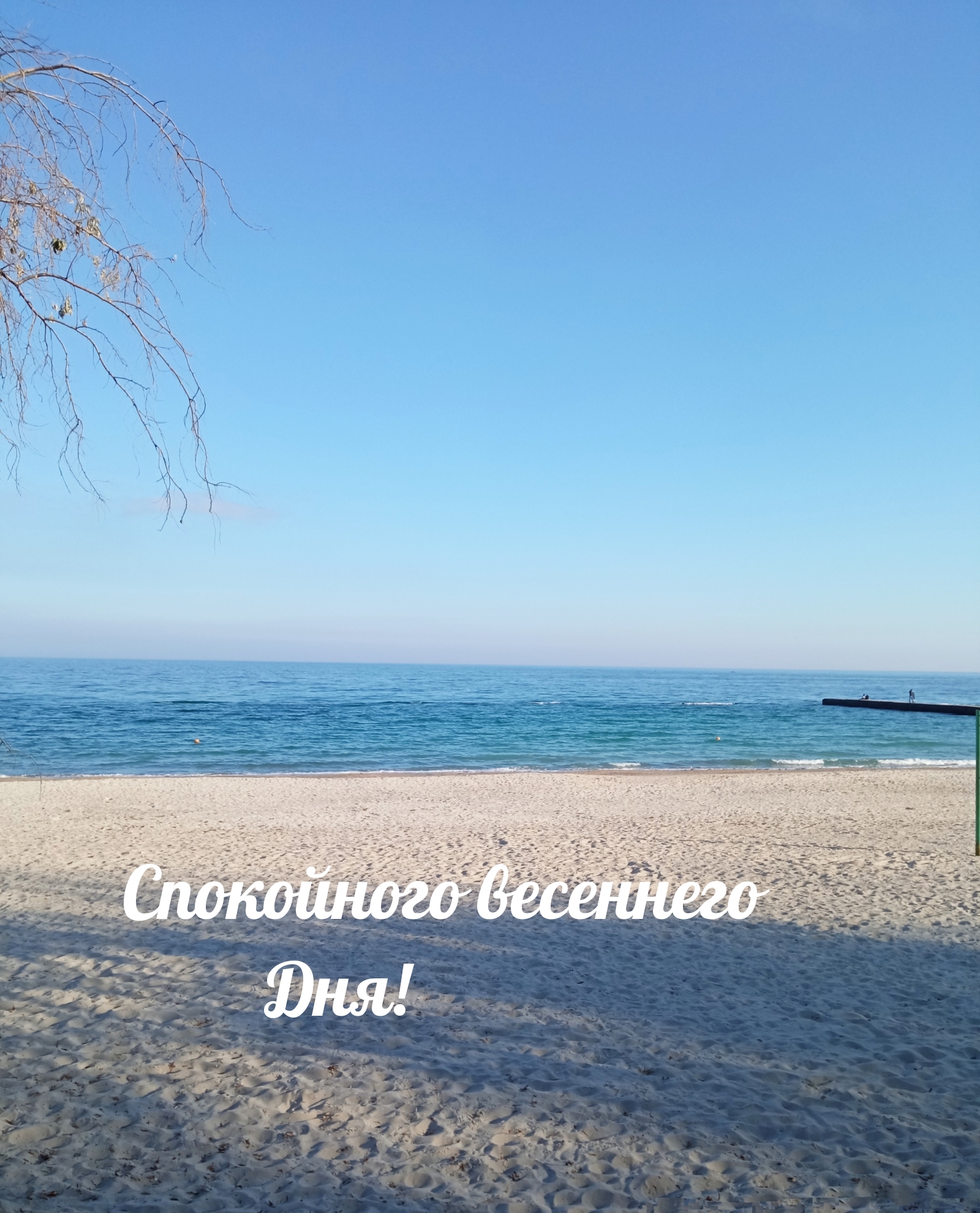 Спокойного весеннего Дня!