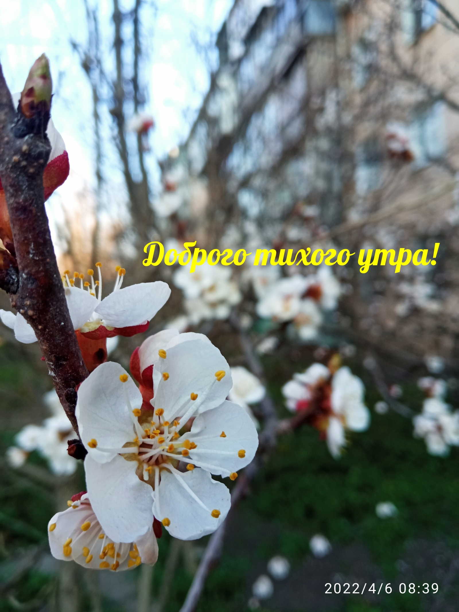 Доброго тихого утра!