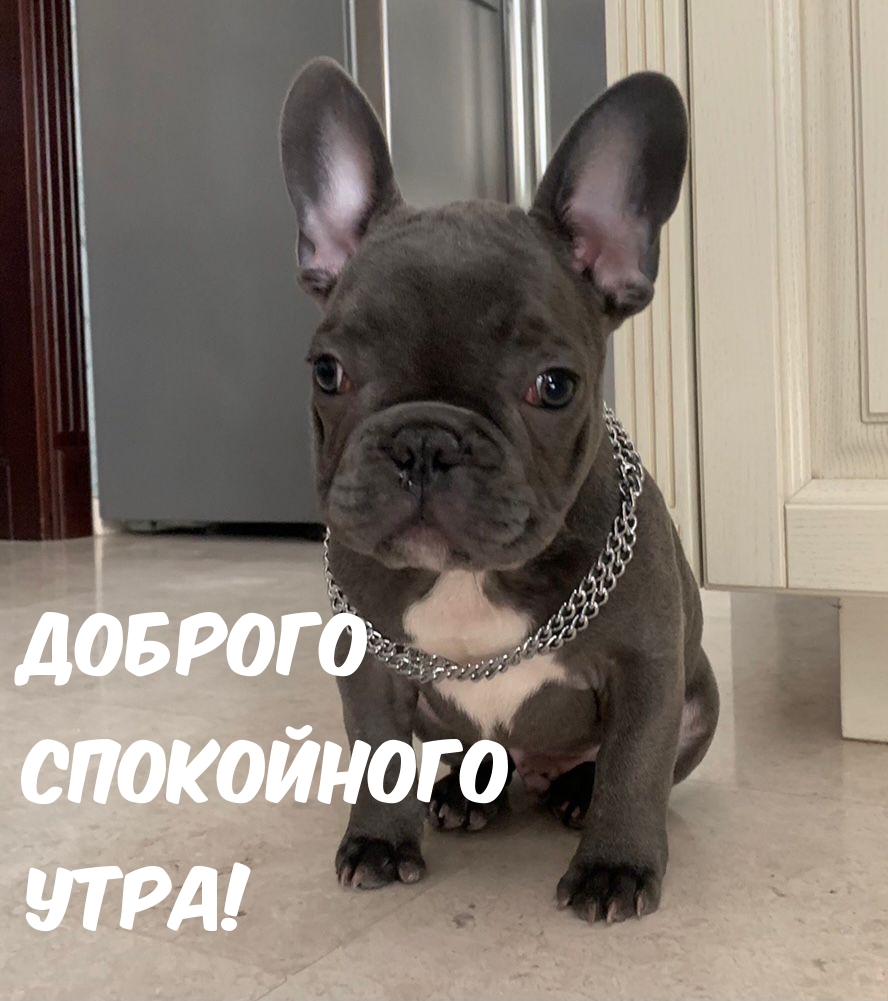 Доброго Спокойного Утра!
