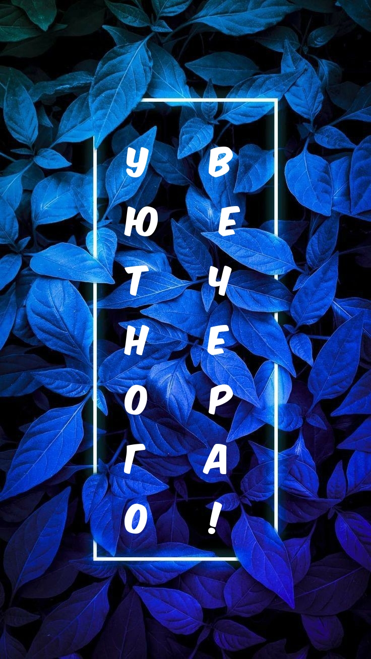 Уютного вечера!