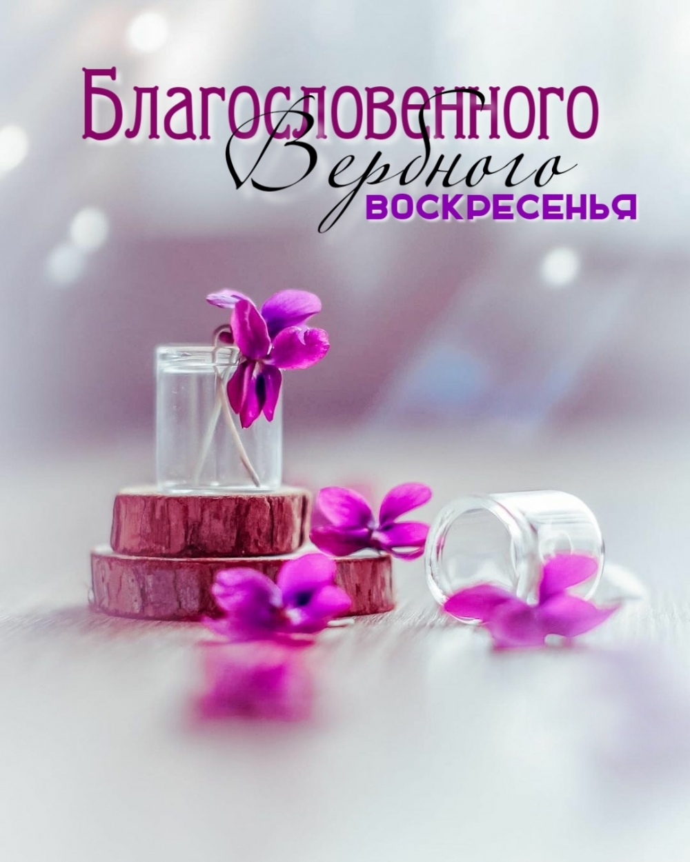 Благословенного Вербного воскресенья