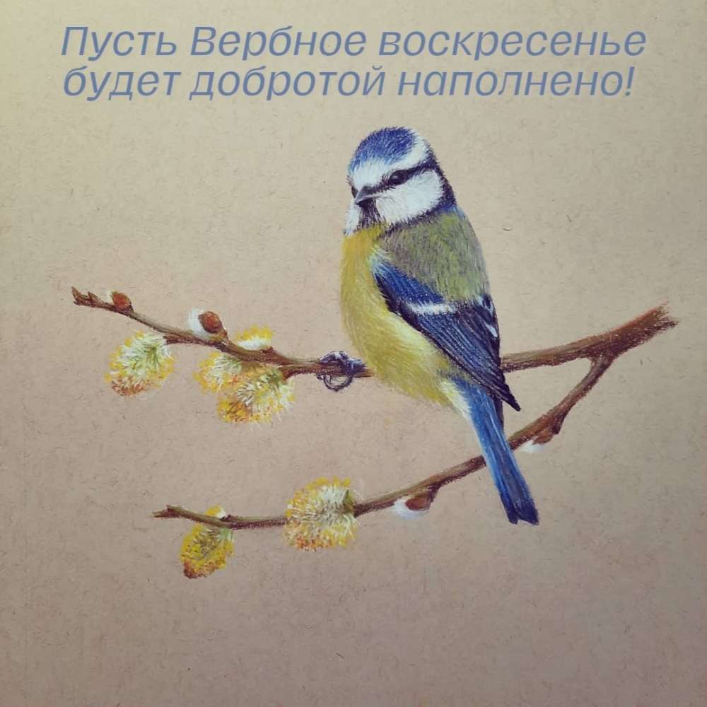 Пусть Вербное воскресенье будет добротой наполнено!