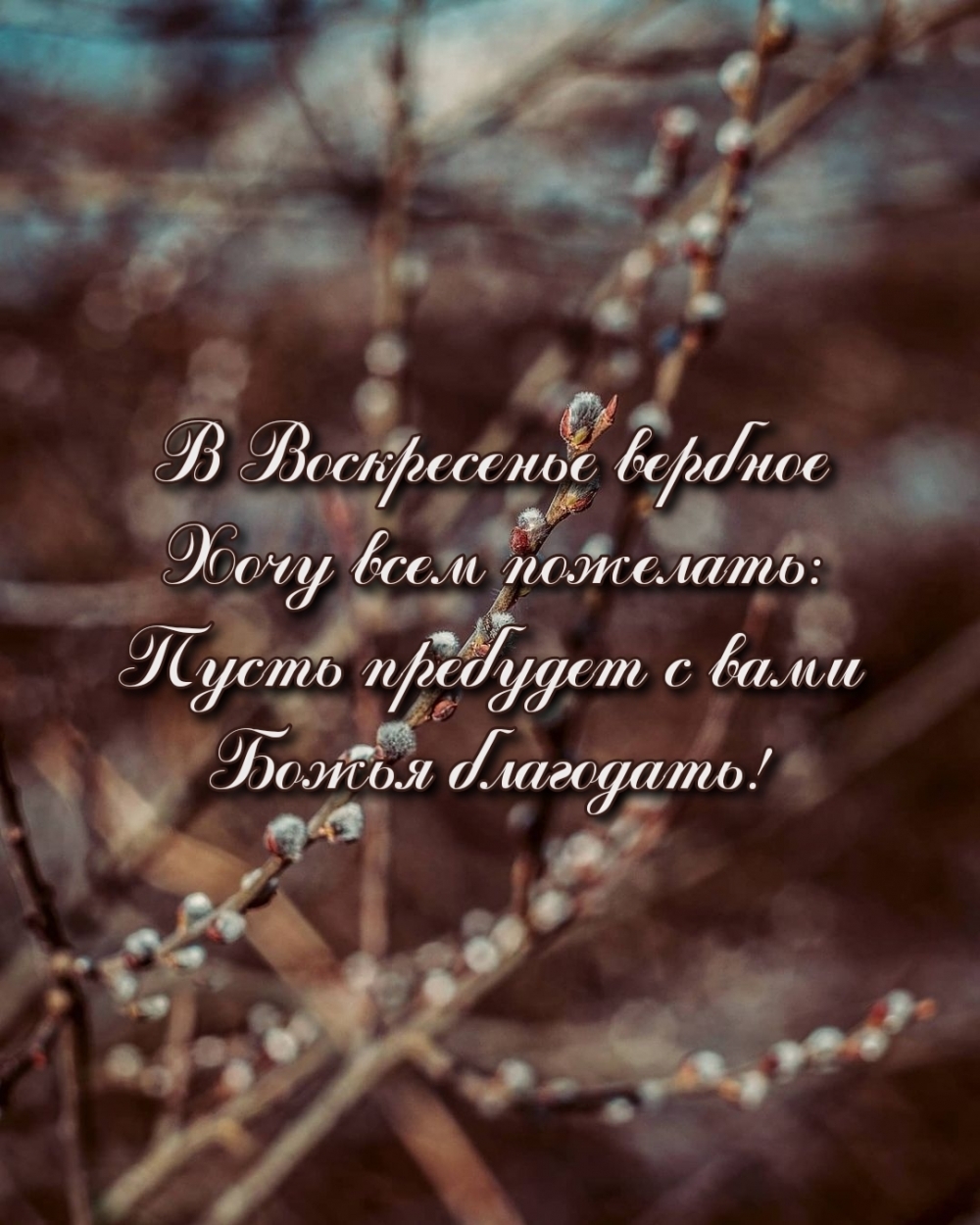 В Воскресенье вербное хочу пожелать: пусть пребудет Божья благодать!