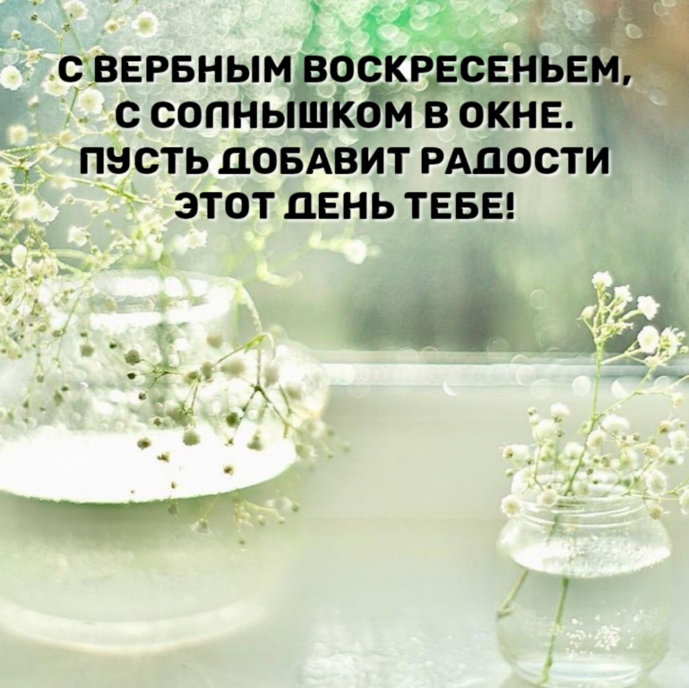 С Вербным воскресеньем, с солнышком в окне.