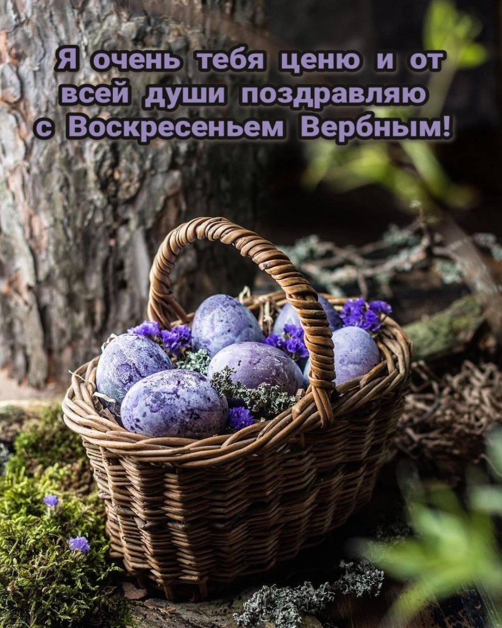 Я очень тебя ценю и от всей души с Воскресеньем Вербным!