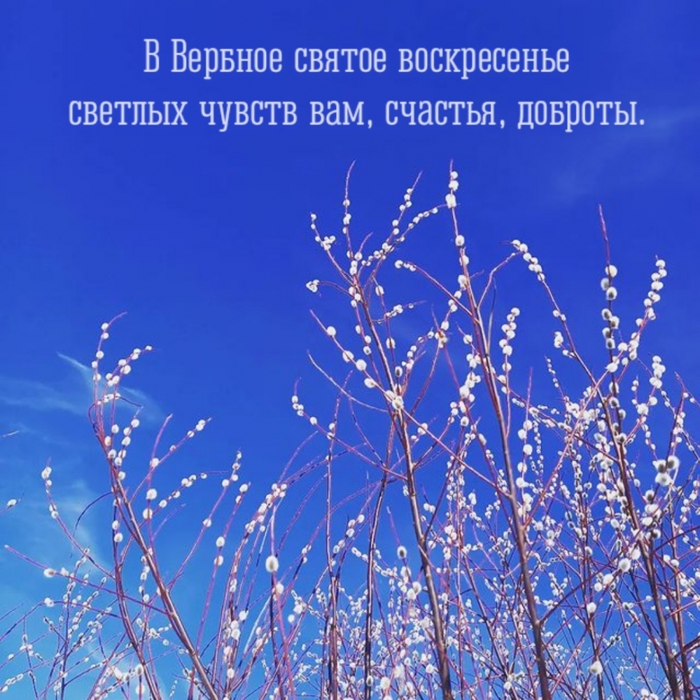 В Вербное святое воскресенье светлых чувств вам, счастья