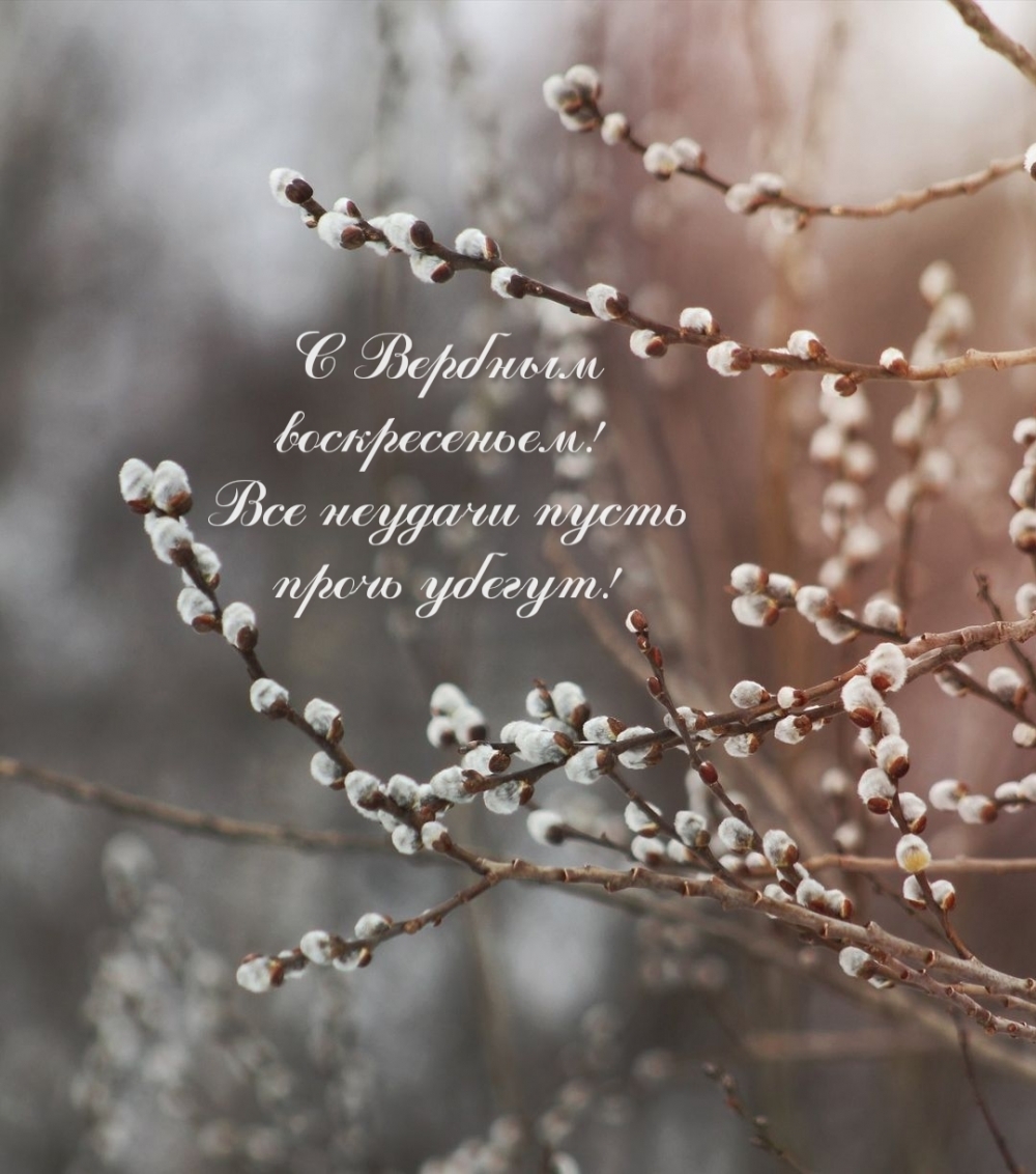 С Вербным воскресеньем! Все неудачи пусть прочь убегут!