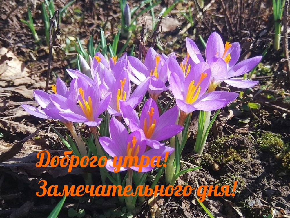 Доброго утра! Замечательного дня!