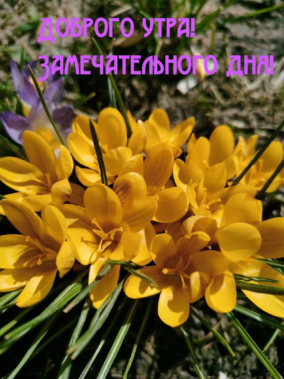 Доброго утра! Замечательного дня!