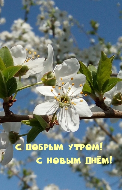 С добрым утром! С новым днём!