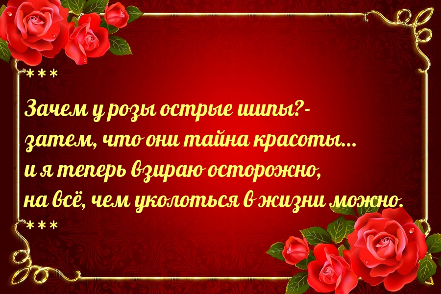 Зачем у розы острые шипы?- затем, что они тайна красоты…