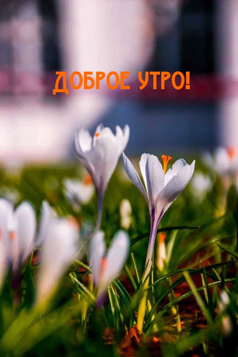 Доброе утро!