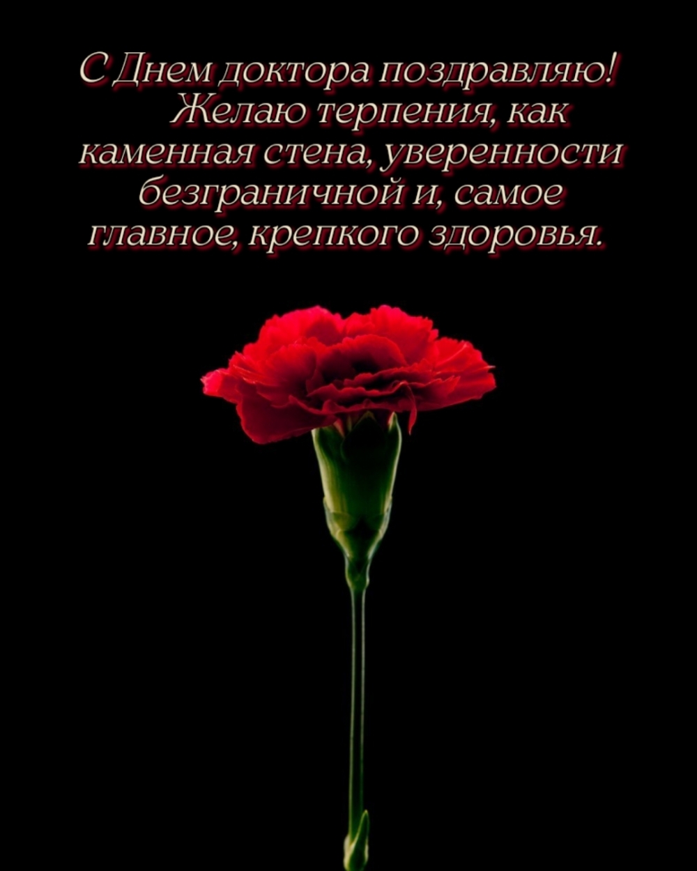 С Днем доктора поздравляю! Желаю терпения, как каменная стена