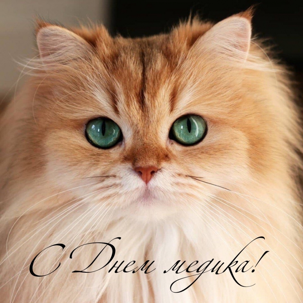 С Днем медика!