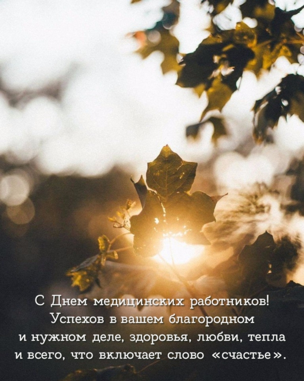 С Днем медицинских работников! Успехов в вашем нужном деле