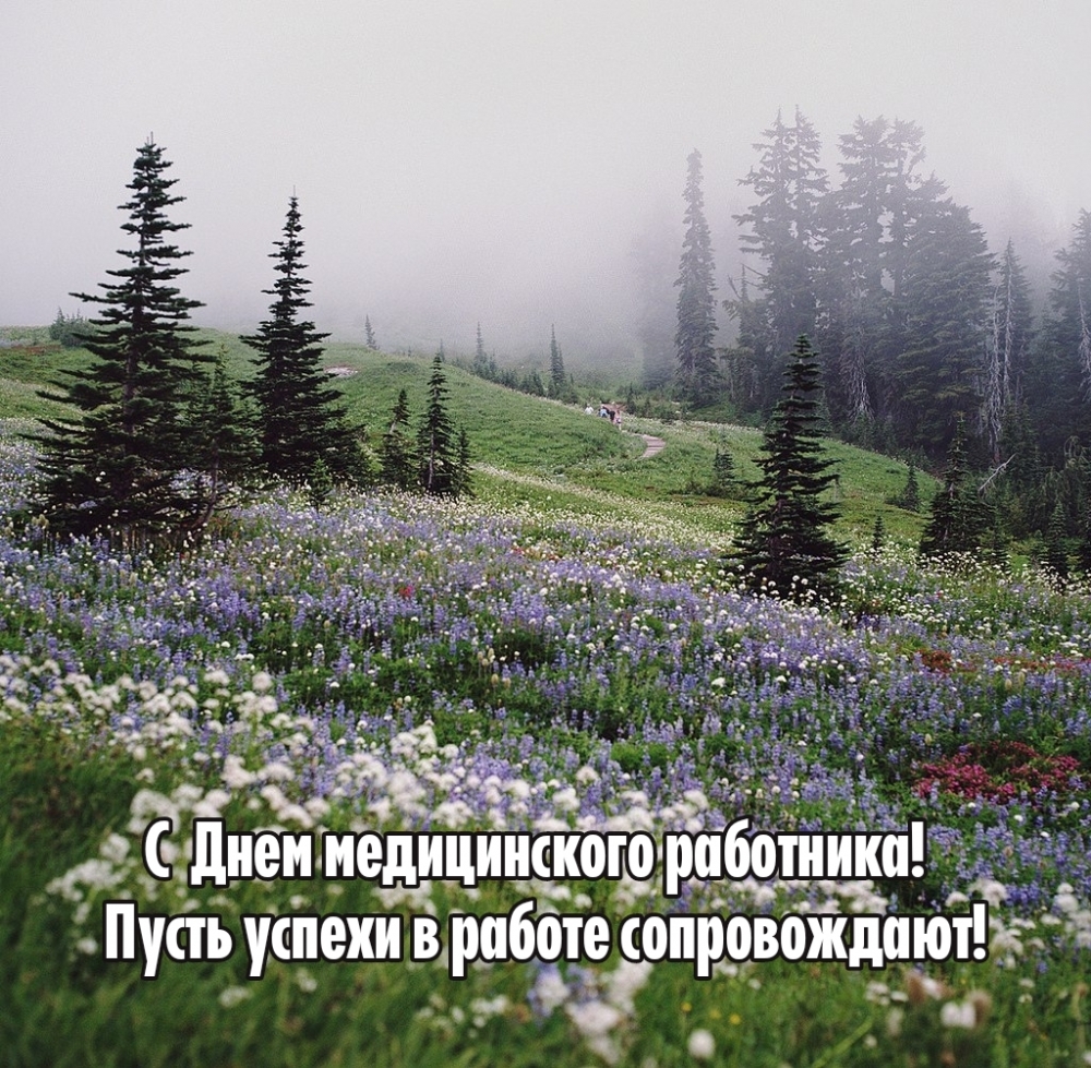 С Днем медицинского работника! Пусть успехи в работе сопровождают!