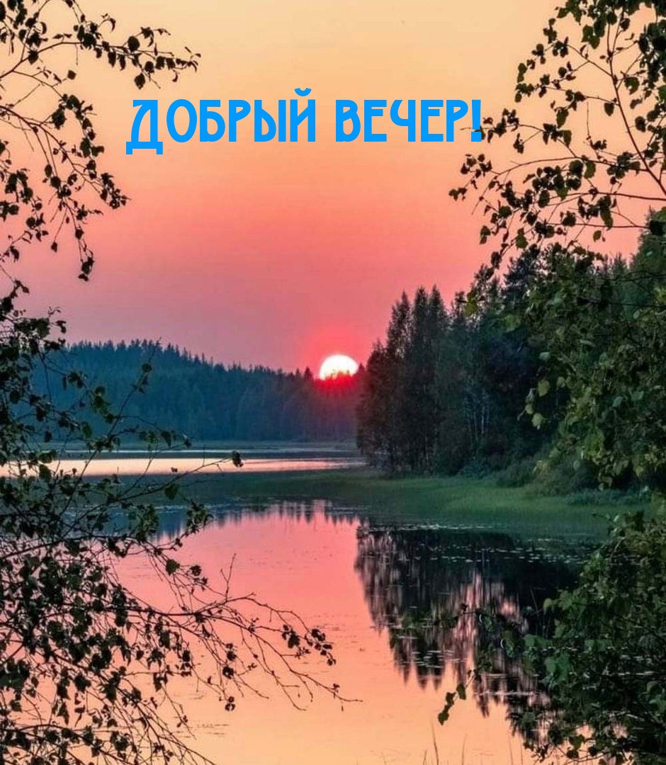 Добрый вечер!