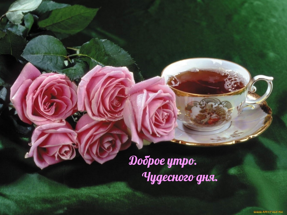 Доброе утро. Чудесного дня.