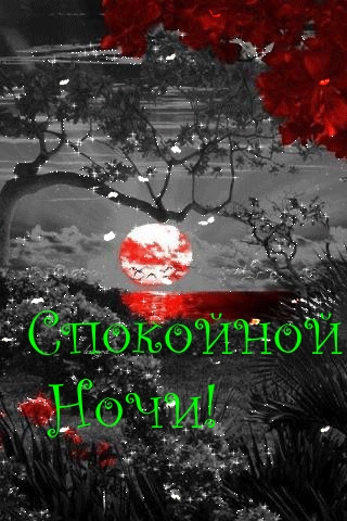 Спокойной Ночи!