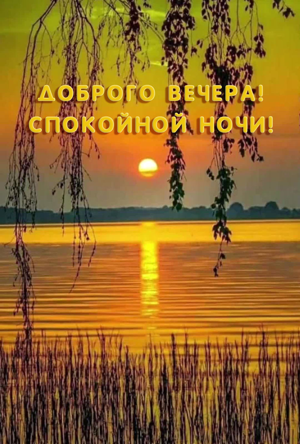 Доброго вечера! Спокойной ночи!
