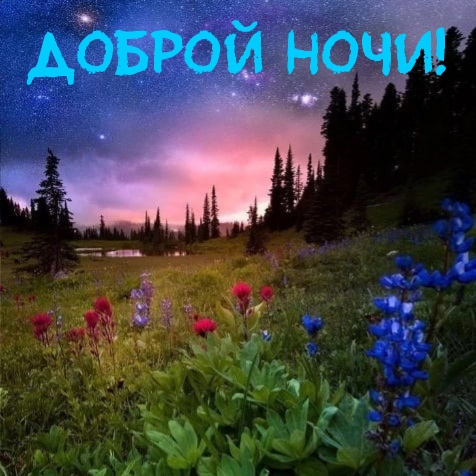 Доброй ночи!