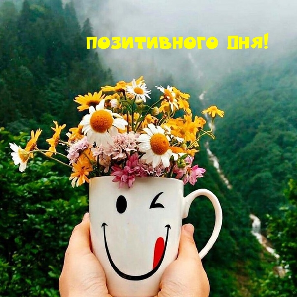 Позитивного дня!