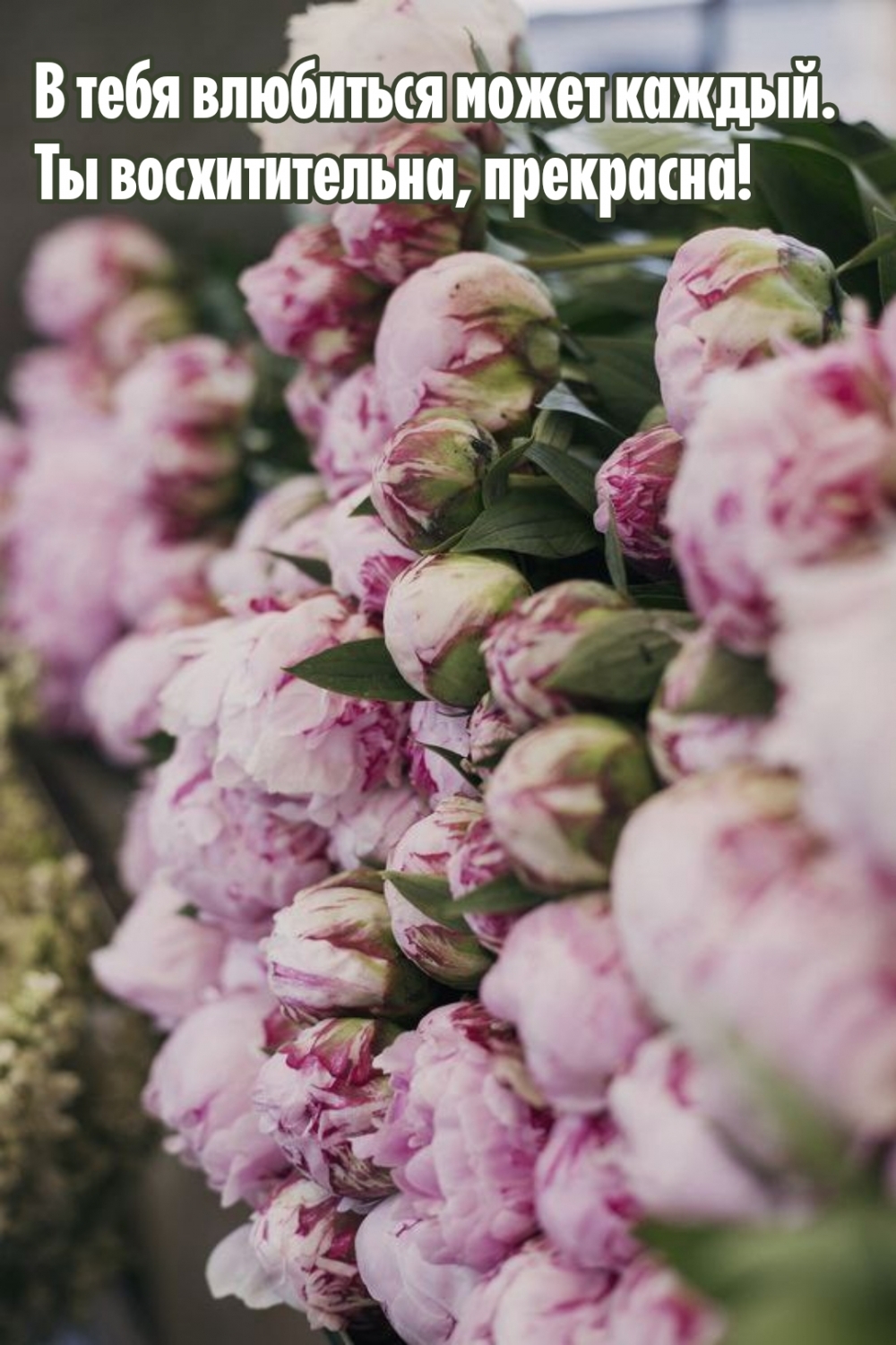 В тебя влюбиться может каждый. Ты восхитительна, прекрасна!