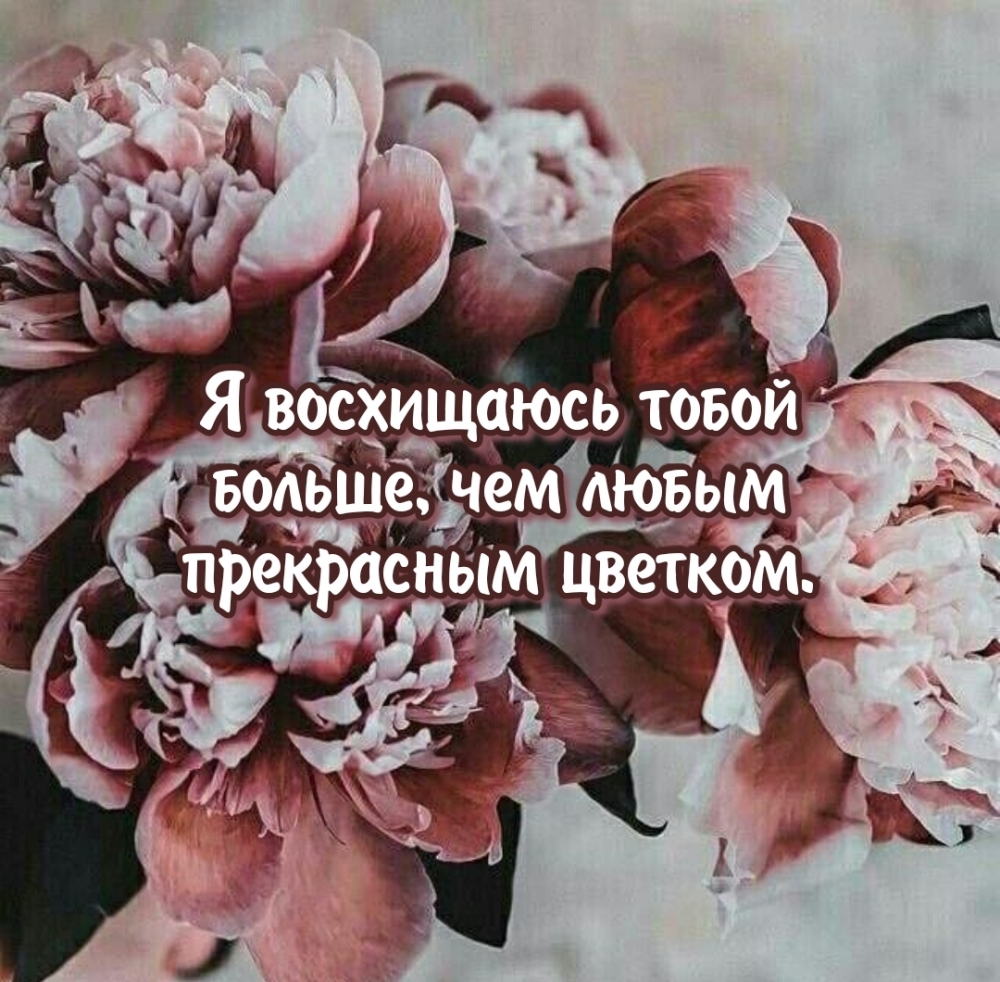 Я восхищаюсь тобой больше, чем любым прекрасным цветком.