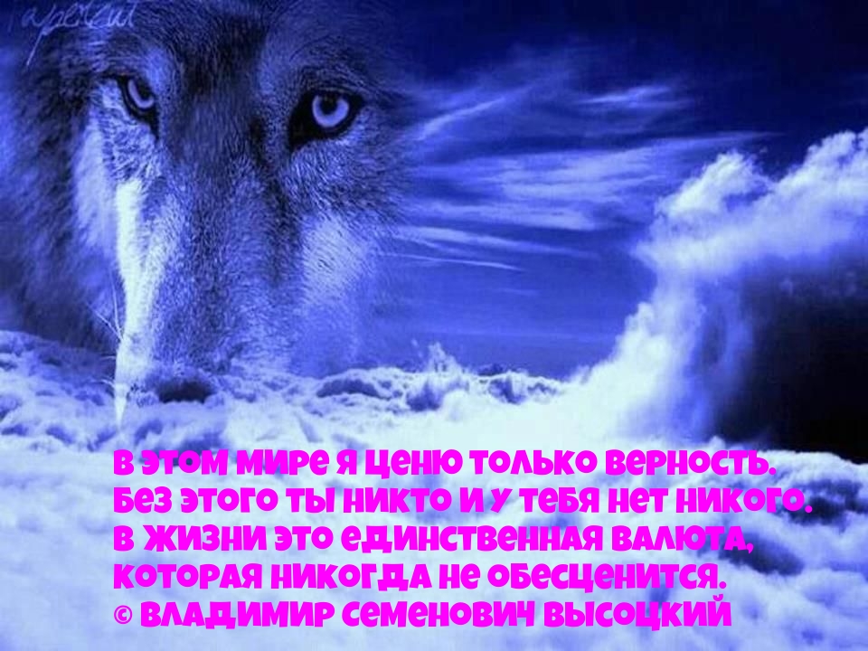 В этом мире я ценю только верность.