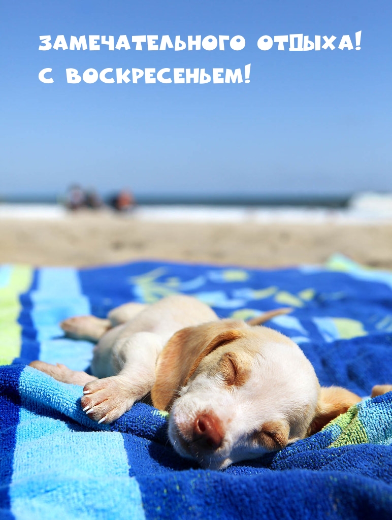 Замечательного отдыха! С воскресеньем!