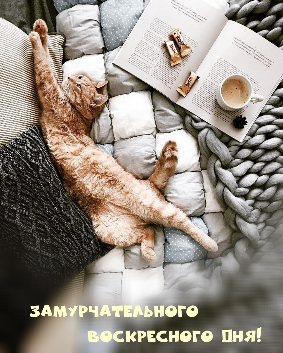 Замурчательного воскресного дня!