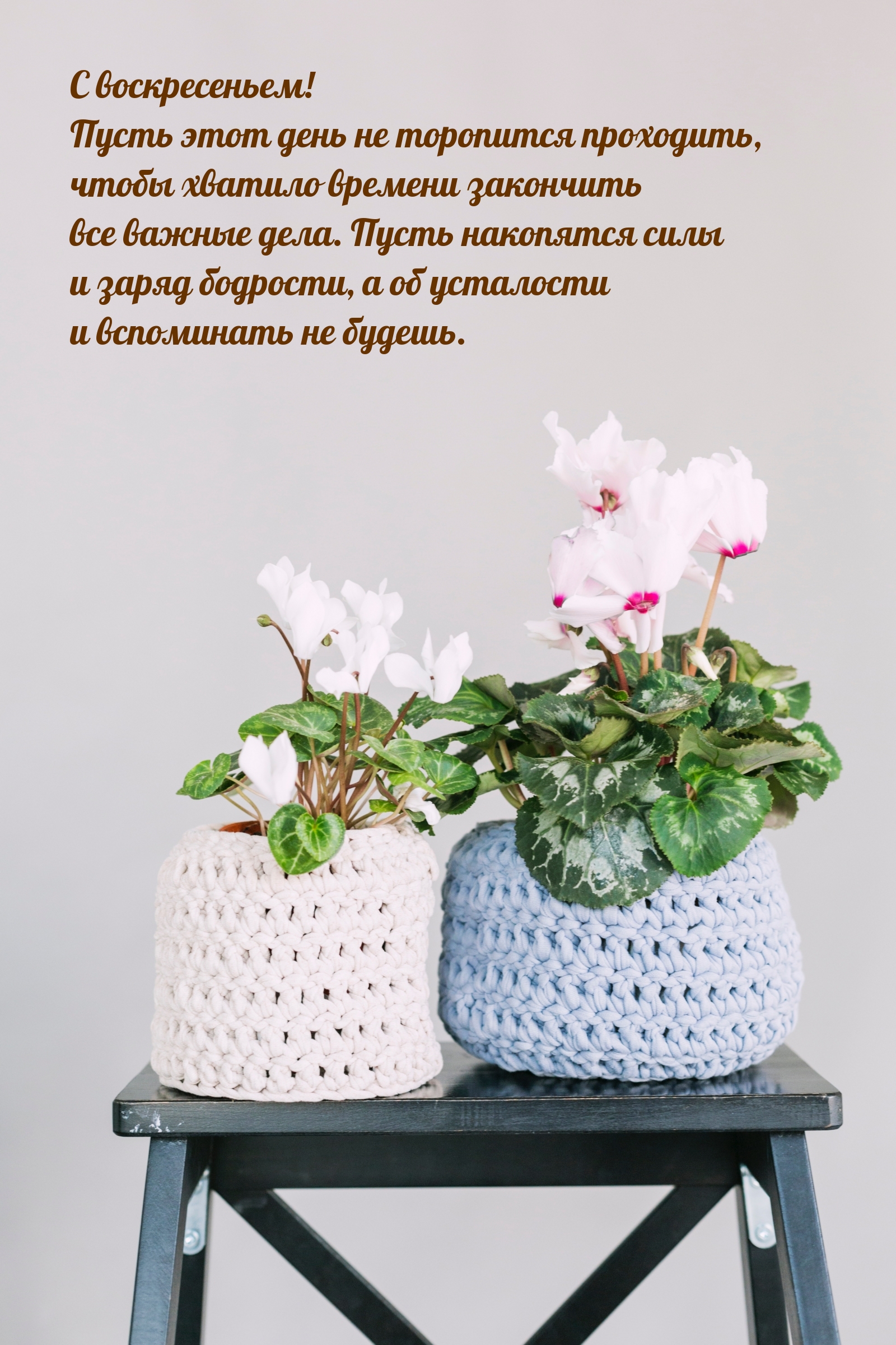 С воскресеньем! Пусть этот день не торопится проходить