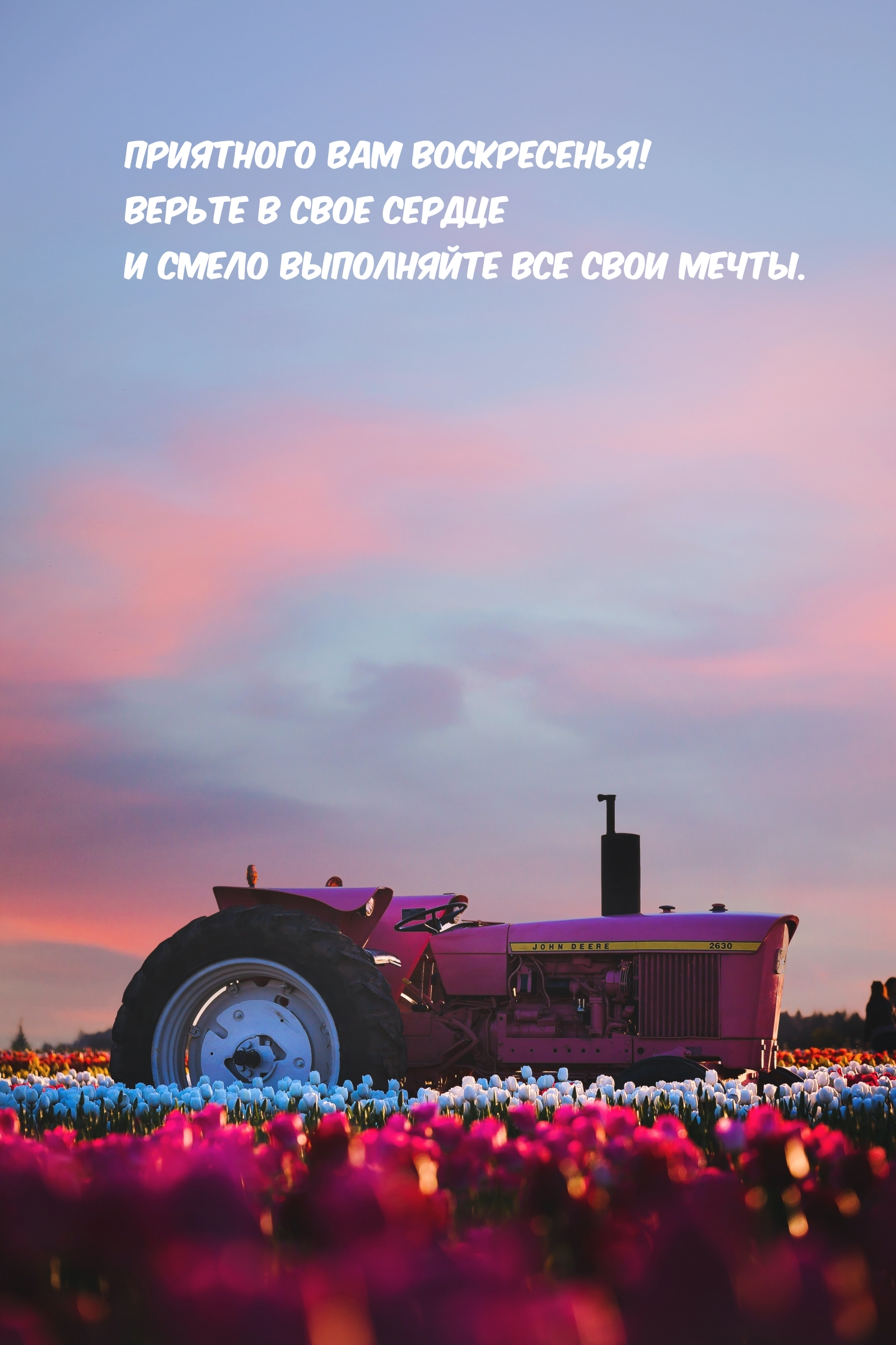 Приятного вам воскресенья! Смело выполняйте все свои мечты.