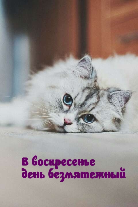 В воскресенье день безмятежный