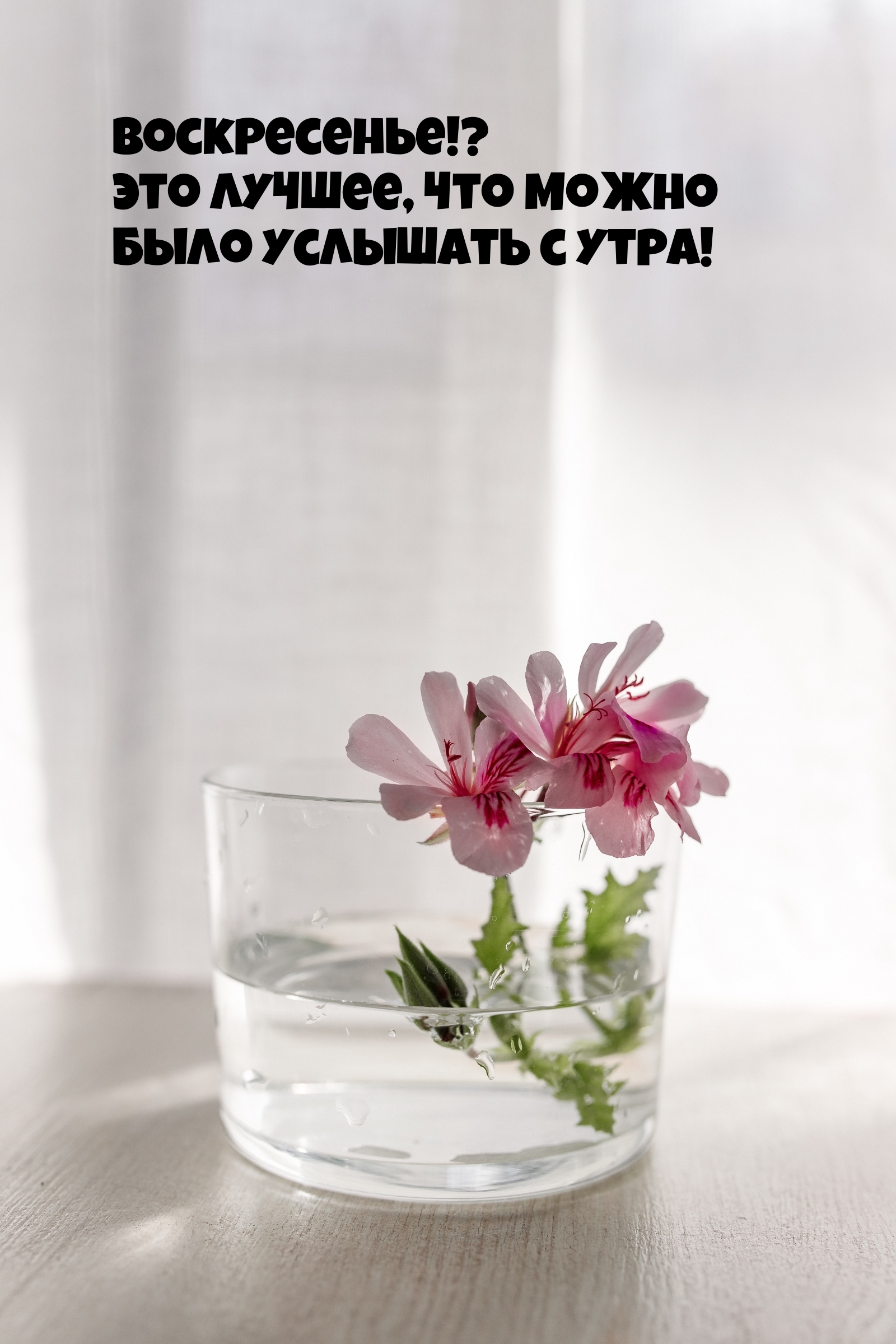 Воскресенье!? Это лучшее, что можно было услышать с утра!