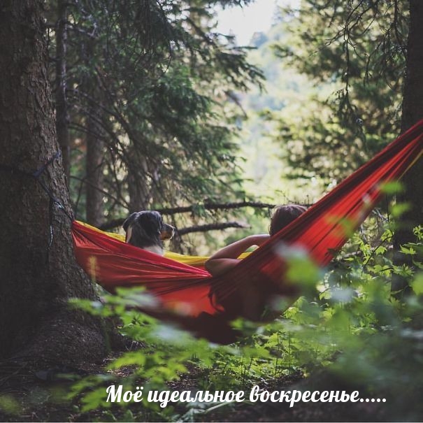 Моё идеальное воскресенье…..