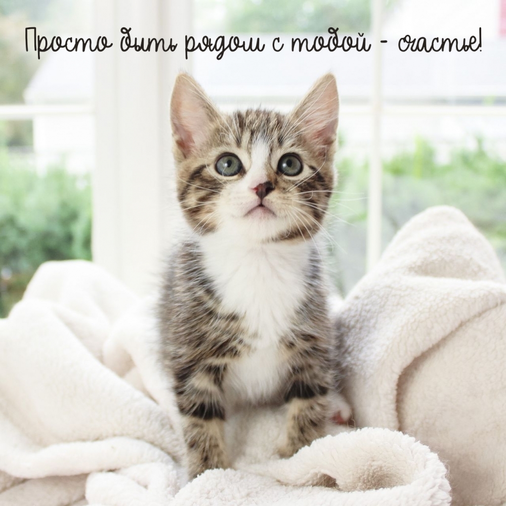 Просто быть рядом с тобой — счастье!