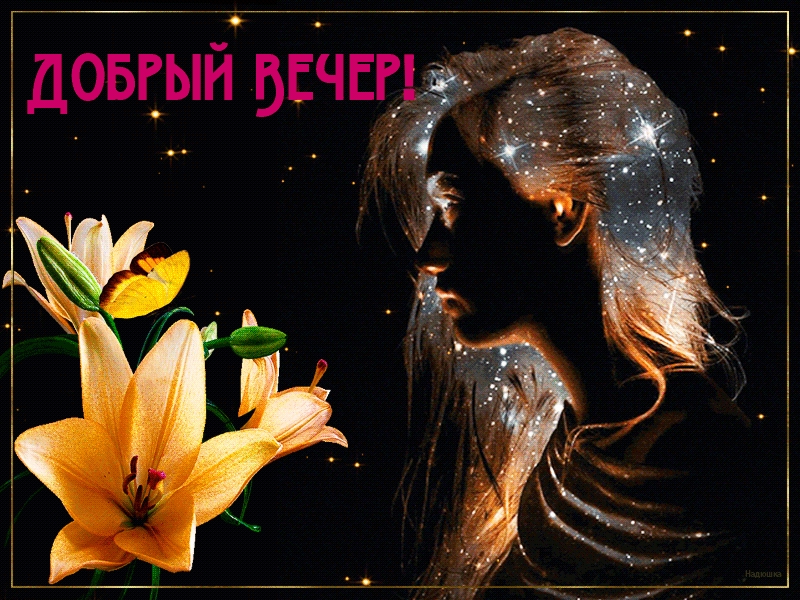 Добрый Вечер!