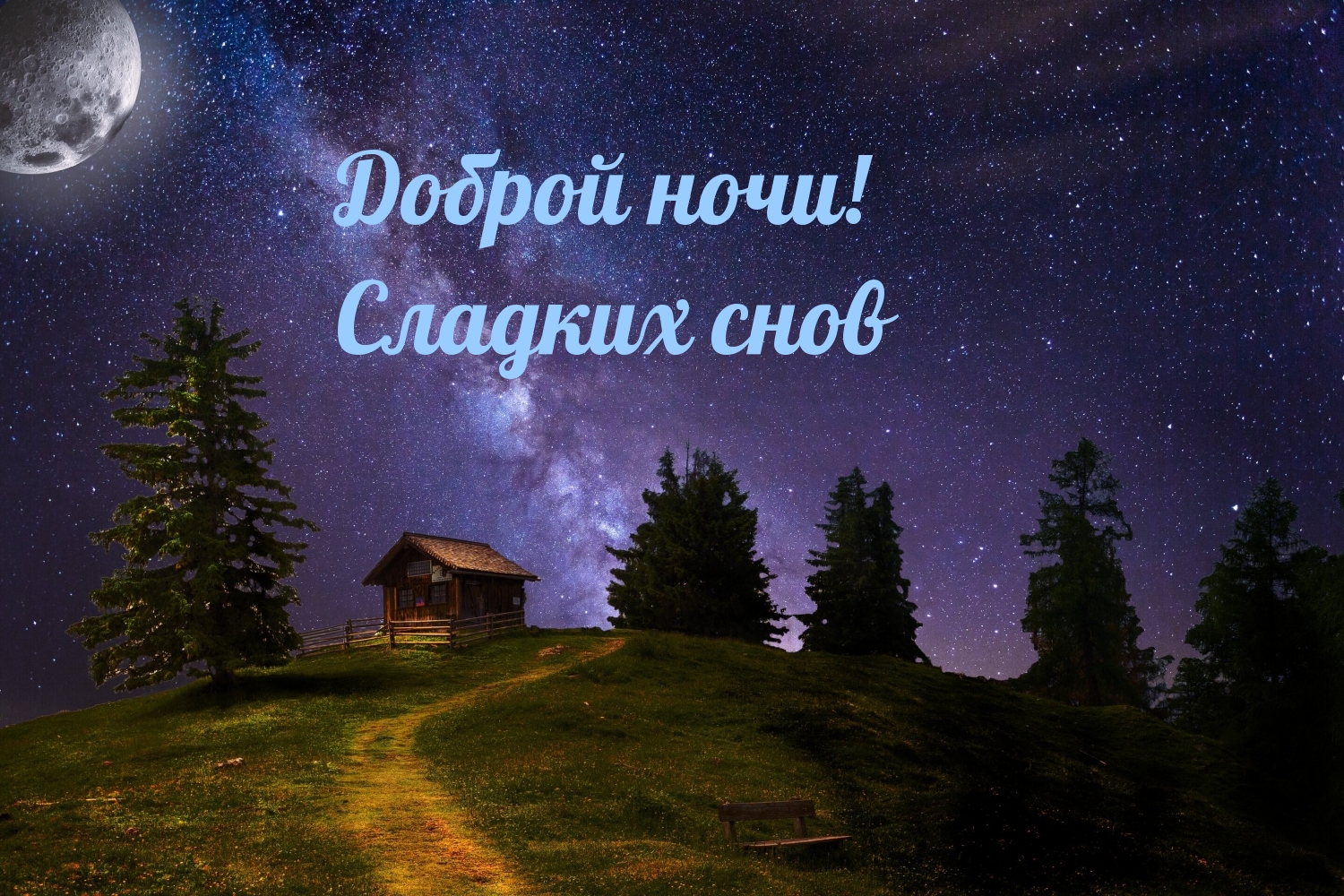 Доброй ночи! Сладких снов ❤