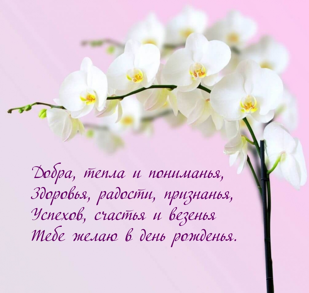 Успехов, счастья и везенья Тебе желаю в день рожденья.