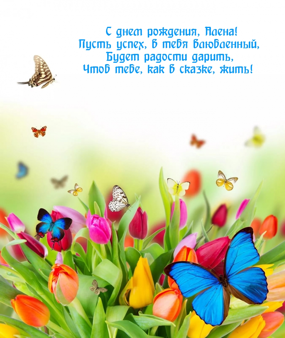 С днем рождения, Алена! Чтоб тебе, как в сказке, жить!