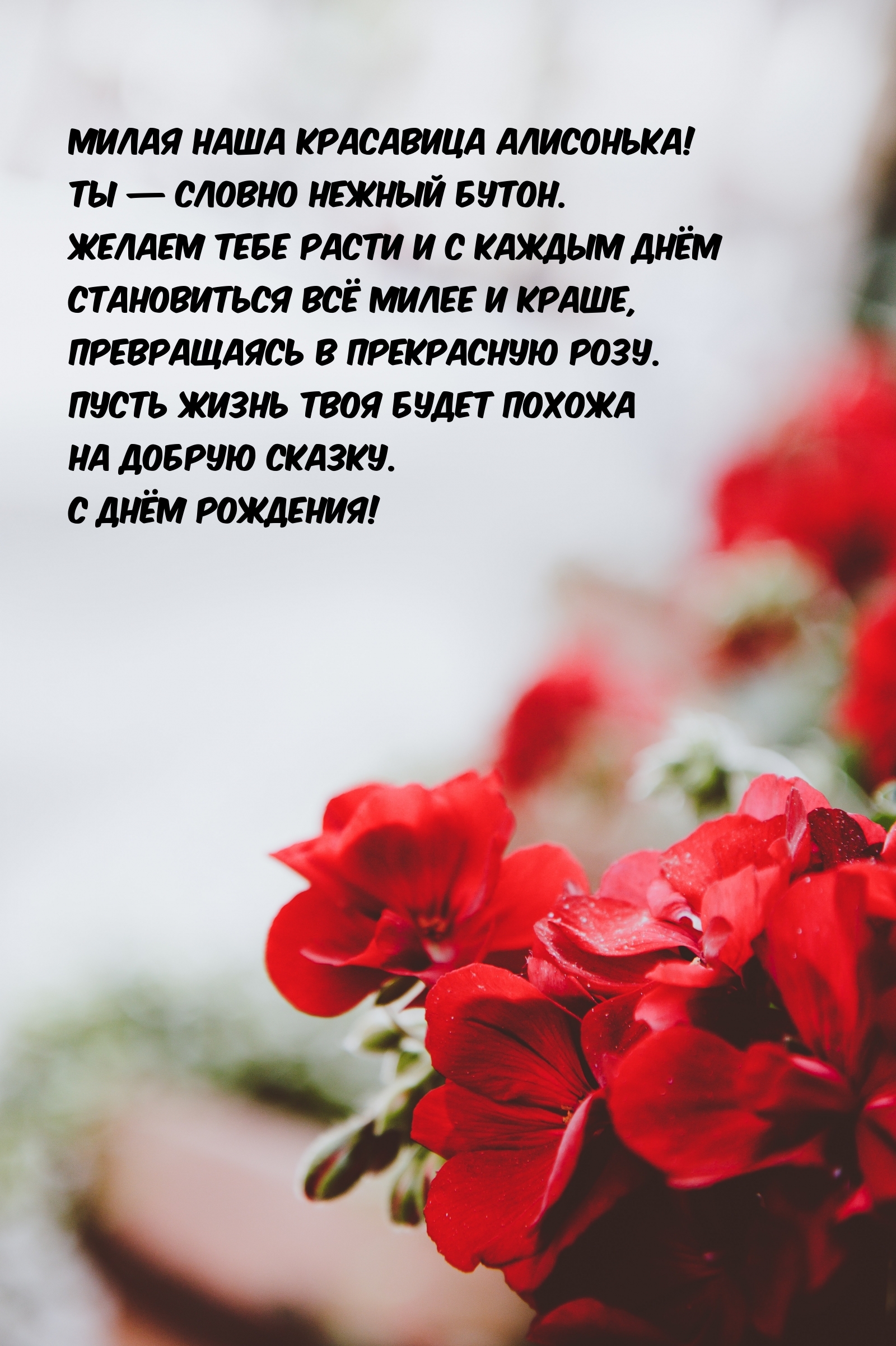 Милая наша красавица Алисонька! Ты — словно нежный бутон.