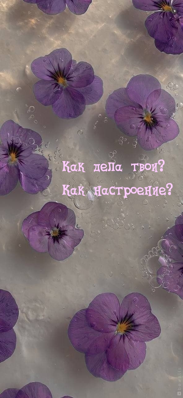 Как дела твои? Как настроение?