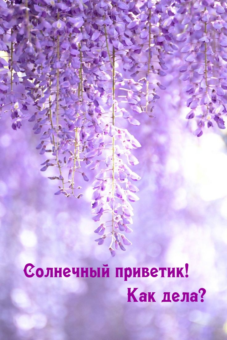 Солнечный приветик! Как дела?